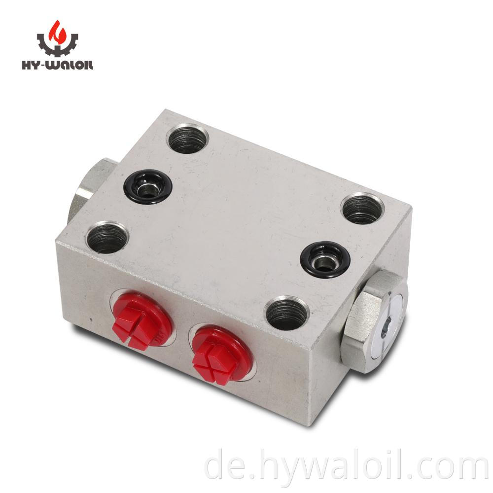 Dual Pilot Check Valve